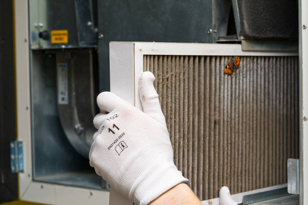 Best Professional Duct Cleaning Services  in New Brockton, AL