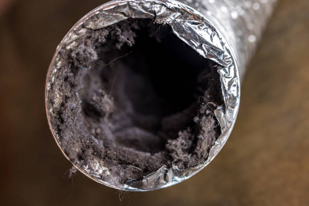 Best Home Air Vent Cleaning  in New Brockton, AL